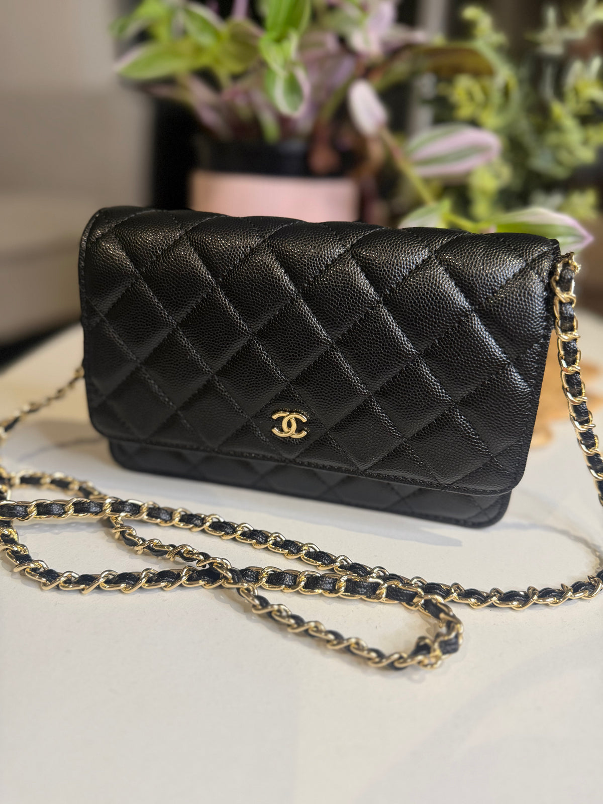 Chanel Classic Wallet on Chain — Black Caviar